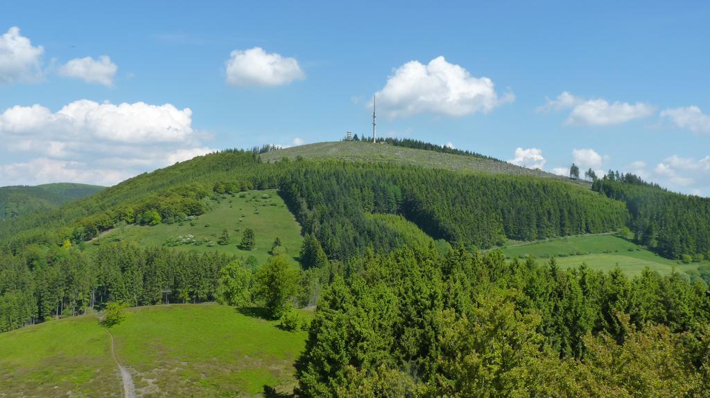 Landidyll Landhaus Liesetal Hallenberg Extérieur photo